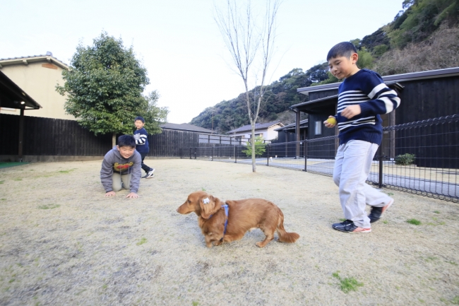 夕食前に愛犬と運動♪