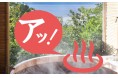 今こそ地元の魅力を再発見~身分証明書を持ってケンミン旅に出かけよう【西日本編】~
