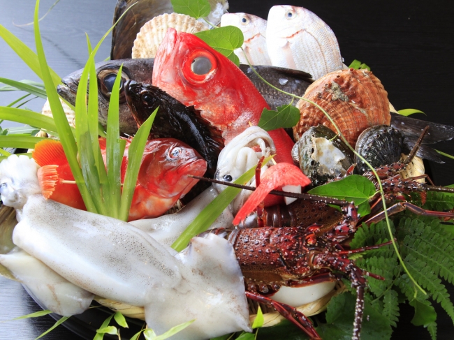 三浦海岸の新鮮魚介イメージ