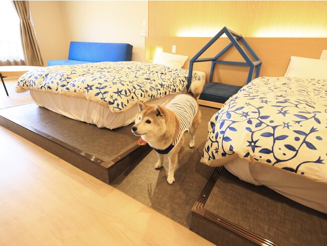 オリジナル愛犬用ベッドまではスロープもあり安心の設計