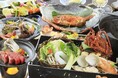 <開業5周年記念>西伊豆の愛犬と泊まれる温泉旅館が5大特典付きプラン販売 お食事無料アップグレードやワンちゃん用ケーキも|2025年3月1日~