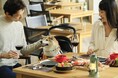 【3周年記念】北軽井沢の愛犬と泊まれるホテルが3大特典付きプラン販売|2025年4月1日~