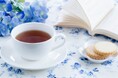 【雨や初夏の暑さが苦手な方へ】熱海の旅館が“ティータイムプラン”販売開始|2025年7月31日まで