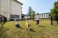 大型犬との旅をもっと快適に　「ゆるり奥日光with DOGS」に全犬種用ドッグランがオープン｜2026年7月18日より