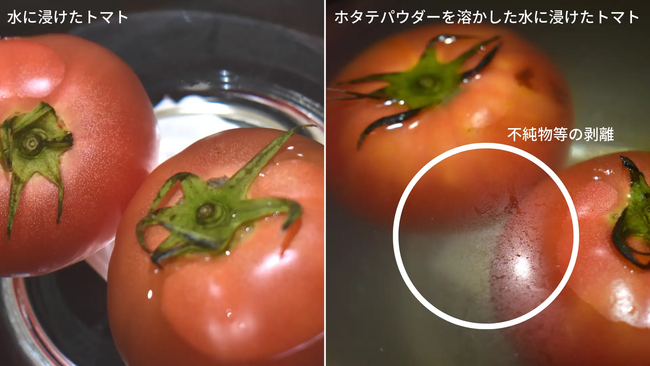 水につけおきしたトマトと、強アルカリ性の水につけ置きしたトマトの比較
