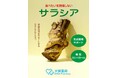 日本人の 5人 に 1人 が “隠 れ 糖尿病 ”おいしく続けやすい糖質ケア「サラシアティー」登場