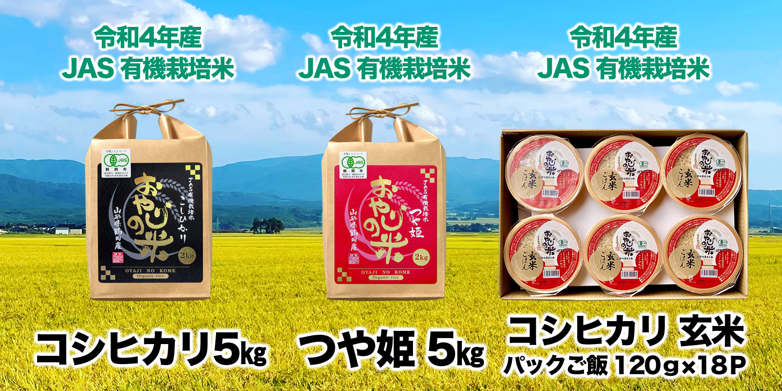 新米 令和5年 埼玉県産 コシヒカリ 玄米 2kg - 米