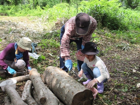 鶴岡市大鳥自然の家「なめこの菌打ち＆ワラビ採り体験」