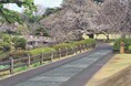 東亜道路工業は、環境省「ネイチャーポジティブとカーボンニュートラルの同時実現に向けた再生可能エネルギー推進技術等の評価・実証事業(うちソーラー舗装技術関連)で採択されました。
