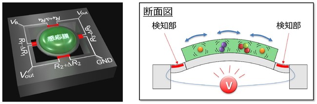 MSSの概略図と動作原理 MSSの概略図と動作原理