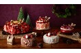 ホテル アゴーラ 大阪守口　苺が彩る、華やかなクリスマス　「アゴーラ クリスマスケーキ 2026」10月1日(木)より予約受付開始