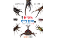 子どもたちに大人気のカブトムシ、クワガタムシが世界から大集合「世界のカブト・クワガタ展」