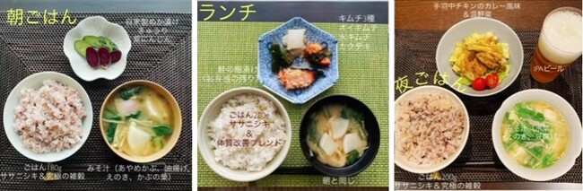 (1日3食の一例) (1日3食の一例)