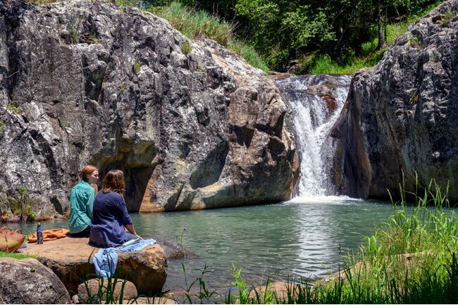(C) 2022 CORDELL JIGSAW PRODUCTIONS PTY LTD, SCREEN QUEENSLAND PTY LTD AND SCREEN AUSTRALIA (C) 2022 CORDELL JIGSAW PRODUCTIONS PTY LTD, SCREEN QUEENSLAND PTY LTD AND SCREEN AUSTRALIA