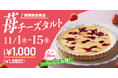 【フロプレステージュ】期間限定発売!約20cmの「苺チーズタルト」が“税込1,080円”!アプリクーポンならさらにお得に