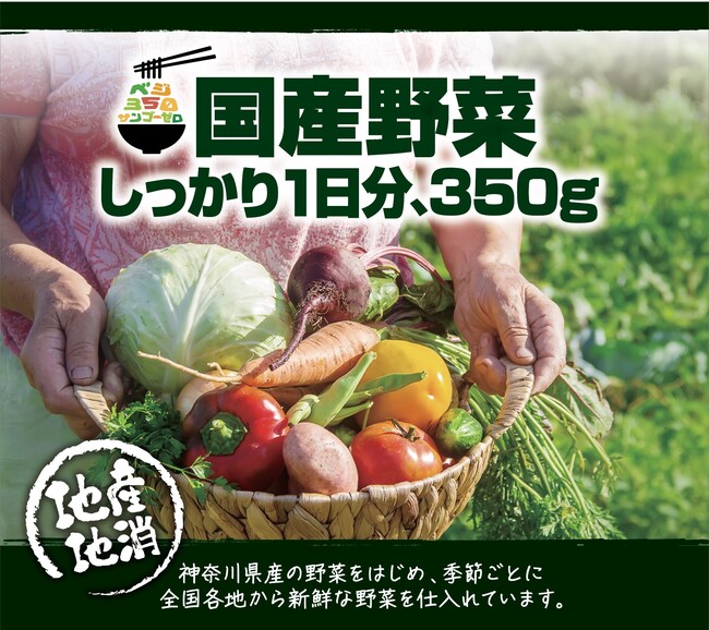国産野菜(イメージ) 国産野菜(イメージ)