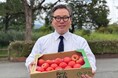 「買い続けることが、支援になる。」農業被害2,000カ所超の熊本へ、静岡のとんかつ店が熊本県産トマトの継続仕入れを開始