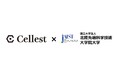 北陸先端科学技術大学院大学とライブコマース事業を展開するCellestが産学連携 日本のライブコマースの市場拡大に向けた知識の構造化研究を推進