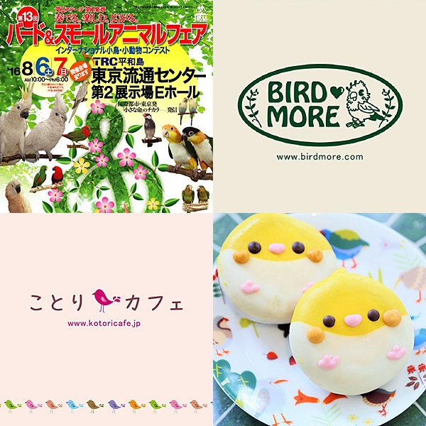ことりカフェ Birdmore コラボショップ登場 どうぶつドーナツも 株式会社ことりカフェのプレスリリース