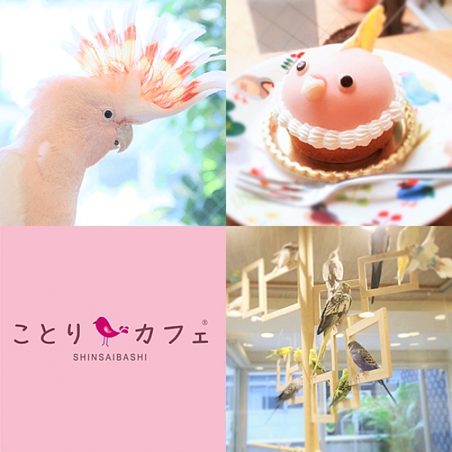 世界一美しいケーキ 大阪に登場 ことりカフェ 新作スイーツ 株式会社ことりカフェのプレスリリース