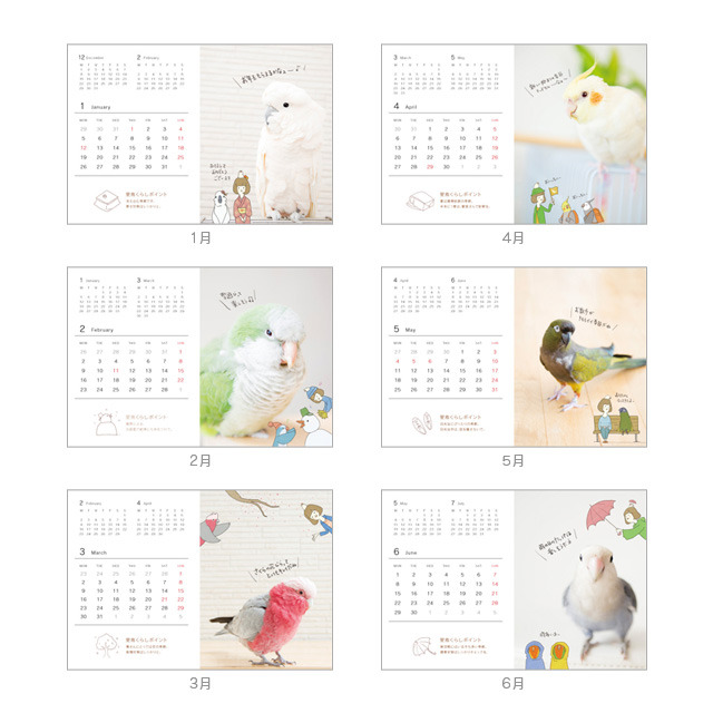 全部可愛い 2015年小鳥カレンダー ことりカフェ に大集合 株式