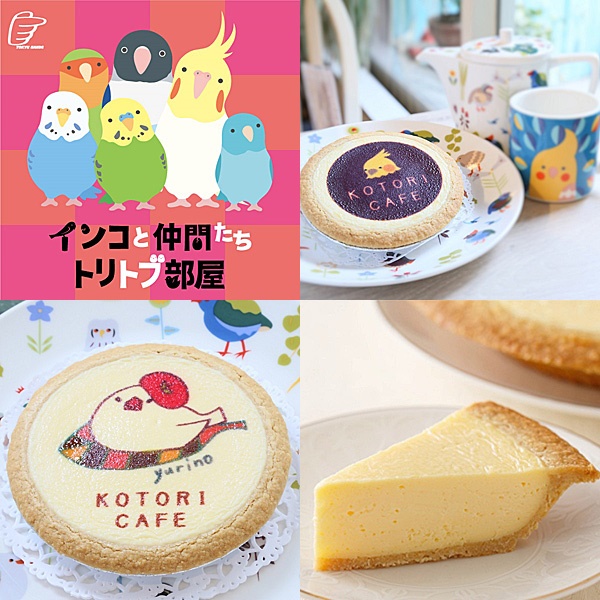 ことりカフェ 限定 伝説のチーズケーキ 東急ハンズ 開催インコ展に登場 株式会社ことりカフェのプレスリリース