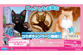 【セガ×Cat Café MOFF】初コラボ決定！新作ゲーム『リトルキティ・ビッグシティ』のSwitch パッケージ版発売を記念し、限定ステッカー配布＆コラボラテアートを6月13日（土）より先行開催！