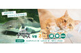 2月22日は『カワスイ「ナマズ」の日』!猫の日のコラボレーション特別企画 「ナマズ vs ネコ 選挙2025」を開催します!