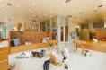 【Cat Café MOFF CUTE CUBE 原宿店】サービス内容変更と料金改定のご案内