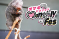水族館にいる針だらけの動物！？モニっとかわいい魅力を伝える「オマキヤマアラシ Monthly Fes」をGWに開催！