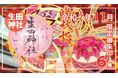【１１月限定】神戸の生田神社にて切り絵御朱印など限定御朱印６種を授与！！