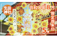 【８月限定】神戸の生田神社にて限定御朱印５種を授与！また、８月７、８、９日に大海夏祭を開催いたします！
