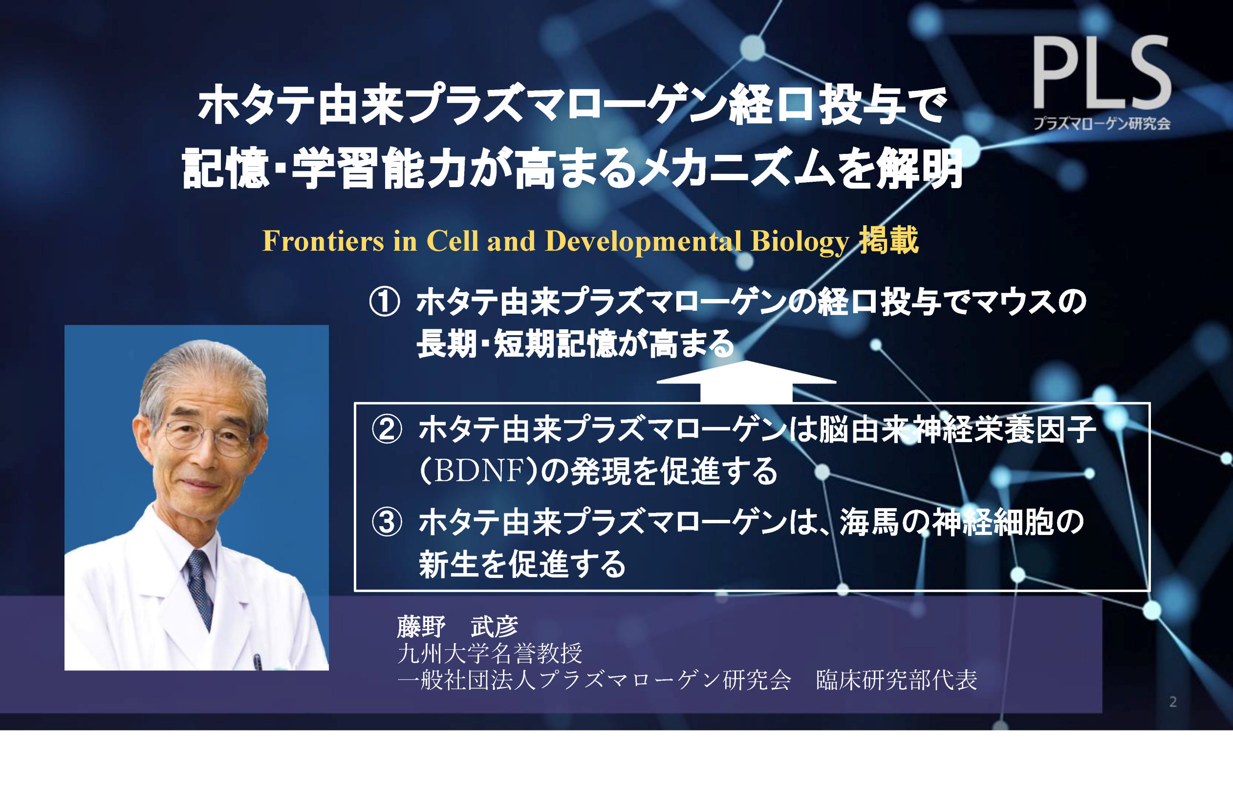 ホタテ由来プラズマローゲン経口投与で記憶・学習能力が高まる