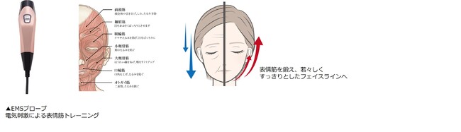 オープン日10月28日