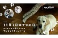 11月1日は『犬の日』!着圧ソックスのSockwellからワンダフルなワンちゃん柄のソックスプレゼントキャンペーンを開催🐶