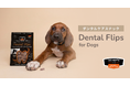 “噛んでケア”という新習慣。QCHEFSの犬用デンタルスナック「Dental Flips for Dogs」が3月27日（金）より発売。