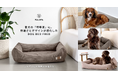 【PALOPA】愛犬の「特等席」に。専門家が認めたエルゴノミック設計〈Dog Bed Fred〉に待望の新バリエーションが仲間入り