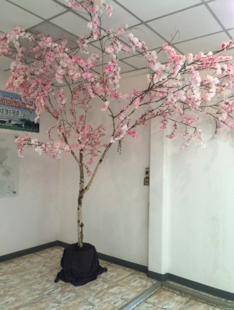 日本の象徴である桜