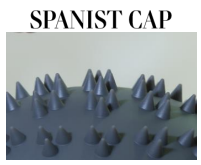 「SPANIST CAPの突起」