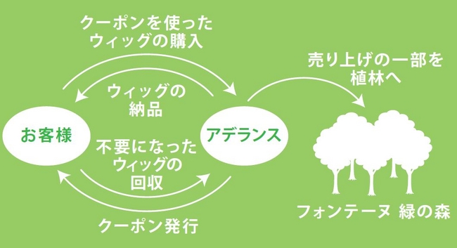 フォンテーヌ緑の森キャンペーン　スキーム図