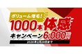 新年は魅せる髪へ！税込6,000円の初売り企画　「ボリューム増毛！1,000本体感キャンペーン」実施