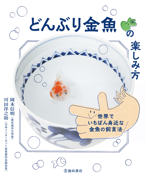 夏祭りの金魚 どうしてますか どんぶり金魚の楽しみ方 の本がたちまち重版 株式会社 池田書店のプレスリリース