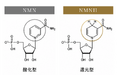 【2026年6月12日（金）新発売】NMNH（還元型NMN）配合の次世代サプリメント