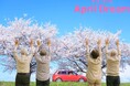 運転免許返納は人生の新たなステージ!!お車卒業後も安全快適・心豊かに過ごせる街と新しいライフスタイルの実現