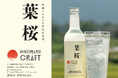 八重桜の葉が彩るクラフトスピリッツ「日の丸蔵風土 葉桜」茨城県那珂市の特産品として開発
