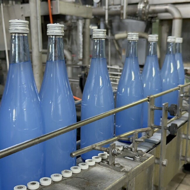 菊盛 純米吟醸にごり酒 春一輪 の瓶詰の様子 菊盛 純米吟醸にごり酒 春一輪 の瓶詰の様子