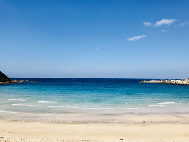 種子島の海