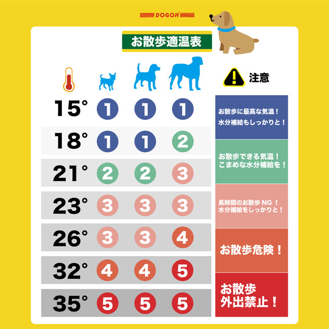 快適な温度で愛犬が楽しく走り回れる室内ドッグラン