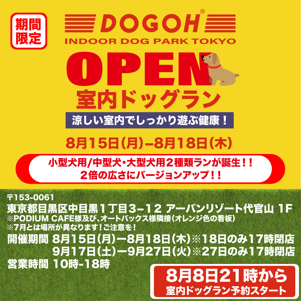 愛犬の熱中症に要注意 代官山室内ドッグラン好評につき第二弾予約受付中 Dogoh Indoor Dog Park Tokyo期間限定オープン 株式会社dogohのプレスリリース