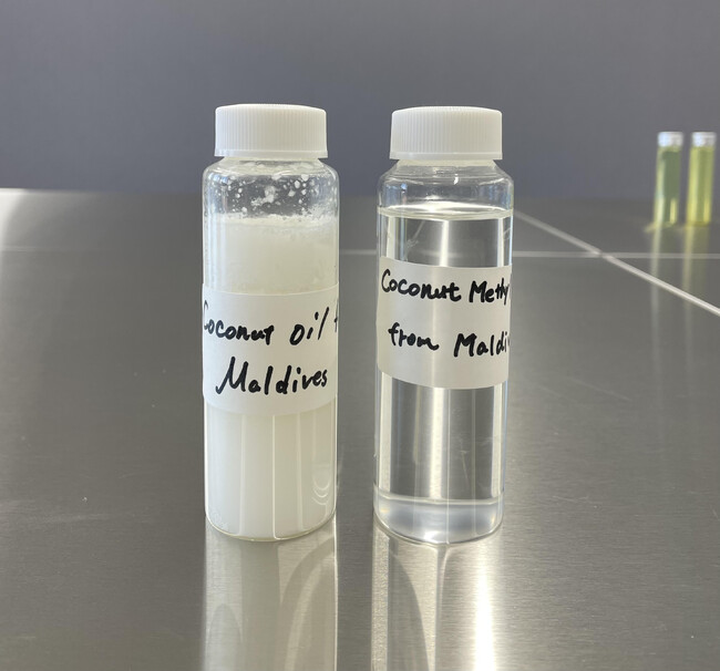 モルディブで使用している廃ココナッツ油（左）と木下教授が精製したバイオディーゼル（右）